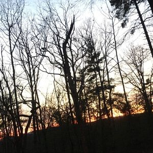 Meet your Posher, Paola